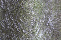 Barton Le Clay fibreglass roof work